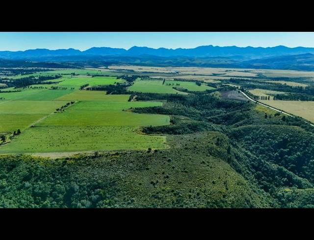 FARM FOR SALE IN WITTEDRIFT AH